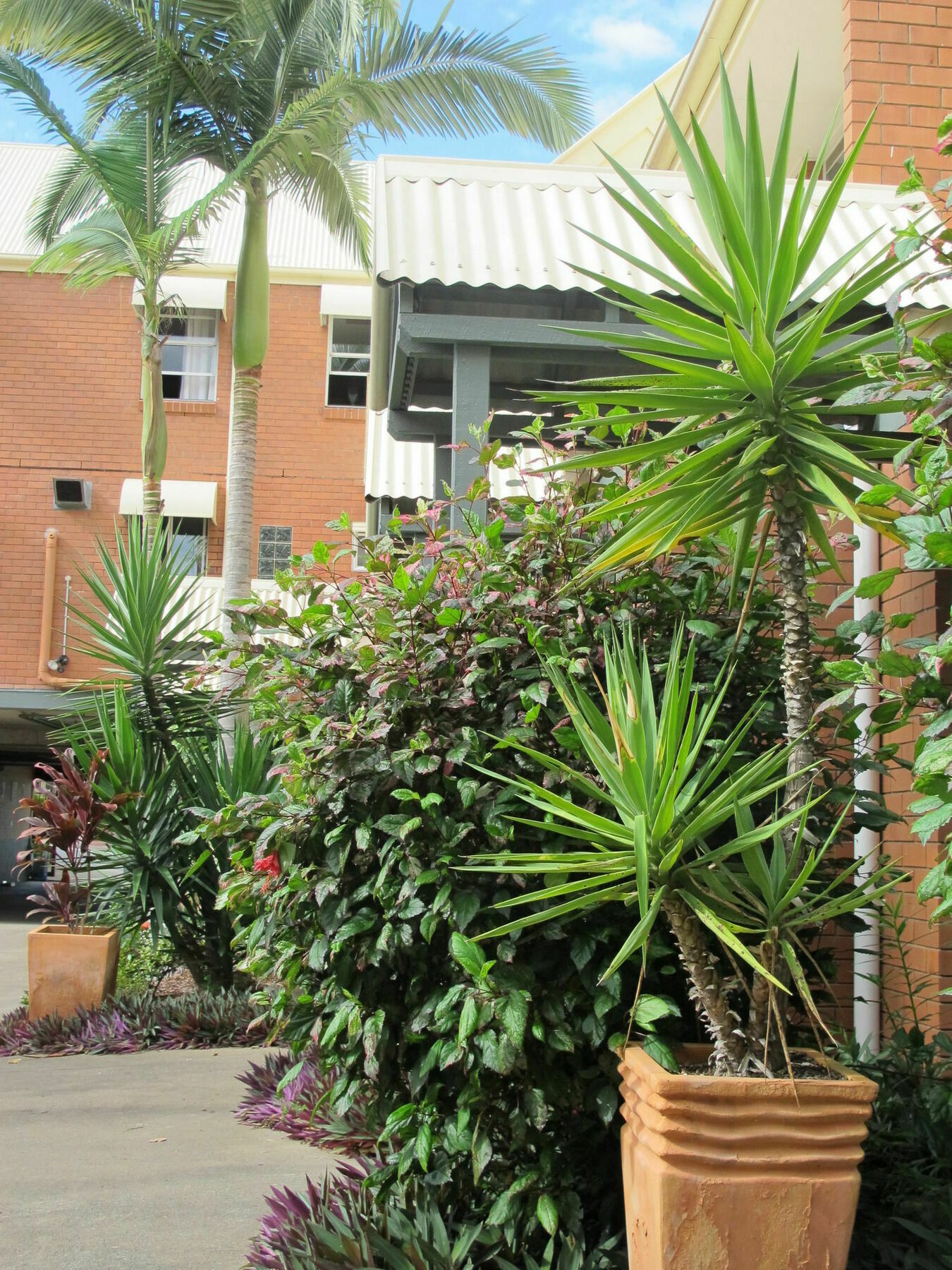 Spring Hill Terraces Hotel Brisbane Exterior photo